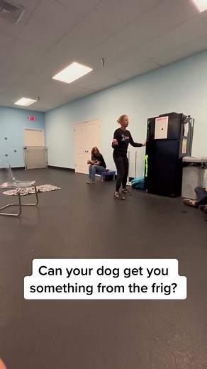 Dog Training Tips: Mentally Stimulating Tricks for Your Dog!