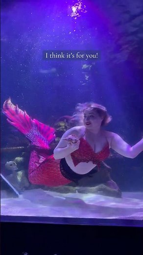 Shello? #mermaid #finfolk #rose_the_mermaid #shreveportaquarium