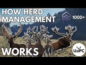 Learn How Respawns & Herd Management Works in theHunter: COTW | Unique Visual Representation | UziPC