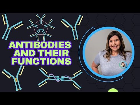 Antibody Structure and Function