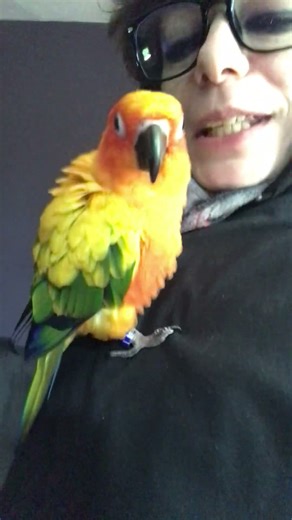 Beatboxing #peachmarcello - he’s working on singing and clicking