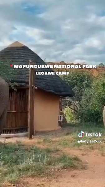 Discover the Beauty of Mapungubwe National Park with Leokwe Camp