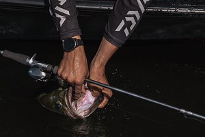 Tackle Test 2021: Best New Flipping Sticks Reviewed - Game & Fish