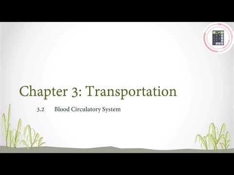 Science | Form 3 | Chapter 3 - 3.2 Blood Circulatory System (Part 2)