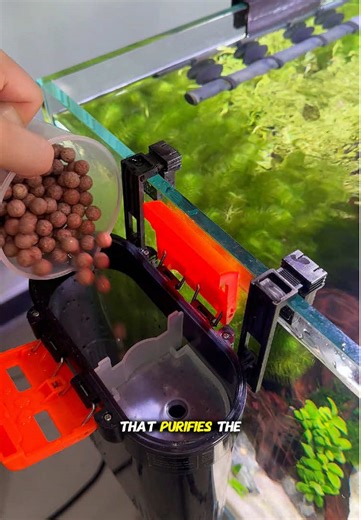 Discover the Best Aquarium Filter for Your Fish Tank