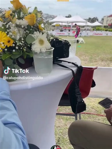 Akamai Puppy Training on TikTok