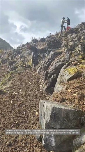 Preparing Rocky Hillside Beds with Contour Clearing and Stabilization