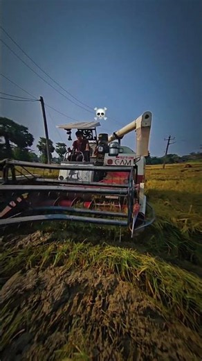 gam harvastar paddy cutting foryou come to field youtube channel 🌾 farming paddyharvest agriculture