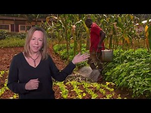 3.4 Planted Drying Beds