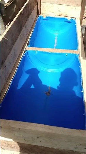 Best Cow feeding troughs #dairy