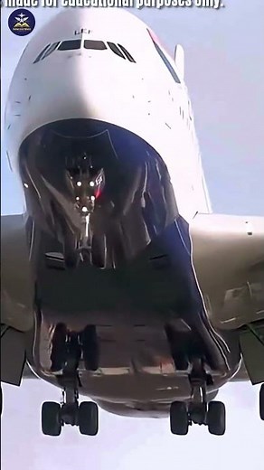 Why Airplane Tires Are Filled with Nitrogen, Not Air ✈🔥 #facts #lifeisbutadream