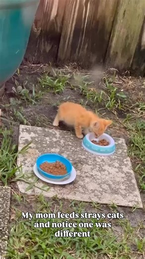 Javier Martinez on Reels