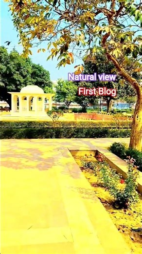 Natural Blog #song #music #shorts #shortvideo #naturelovers #nature #blog #dailyvlog #naturalblog