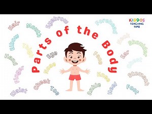 Learn About the Parts of the Body: A Fun Learning! | Body Parts for Kids