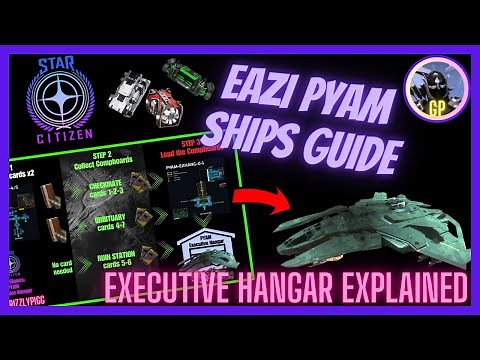🚀Executive Hangar Overview🚀 A Complete Guide on How to Get Your PYAM Ships Pt1: Star Citizen