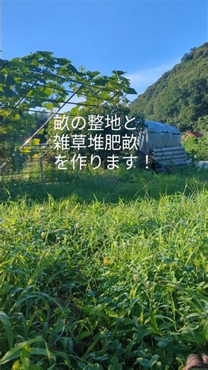 自然農 雑草堆肥畝 #自然農 #自然農法 #雑草堆肥#不耕起