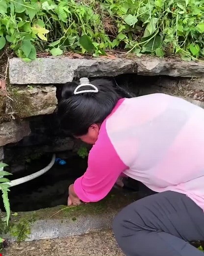 Chinese Green Jelly Making Process Revealed