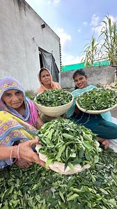 “Tasty Food, Strong Hair – Kadipatta Powder”!! | AnshikaRaman Tyagi