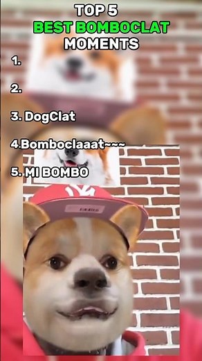 FUNNIEST BOMBOCLAT Moments 😂 | Try Not To Laugh Challenge #Shorts #ytshorts