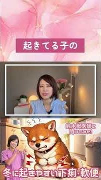 冬に下痢・軟便が増える理由と、今日からできる食養の基本 #オムニア自然療法ペットクリニック #東洋医学 #下痢