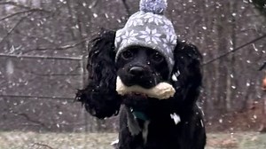 How to keep safe and warm during extreme cold