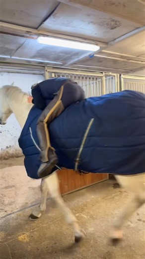 celinanikelle (@celinanikelle)’s videos with Kiss Me - Sixpence None The Richer