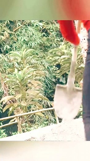 17K views · 308 reactions | Attach Stones To Decorate The Wall, Complete The Stairs & Pillars #build #farm #farmlife #fazenda #ferme #granja #granja | Alison Netherveth | Facebook