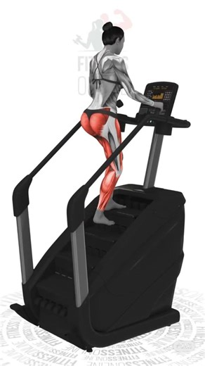 Stair Climber (StairMaster)💪🏻🔥||EXERCISE-USA ||#exercise #ai #gym #usa#StairMaster