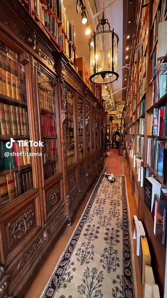 Discovering the Enchanting Old Florida Bookshop