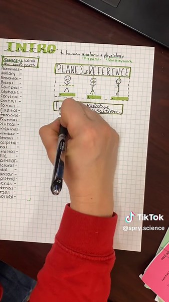 How To Study: 1-page anatomy review (part 1) #spryscience #howtostudy #studytips #helpmestudy #science #anatomyandphysiology #anatomyandphysiologyhelp #biology #learnsomethingnew #testreview #studyguide