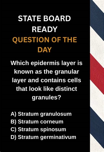 Getting ready for the State Board exam? Try our 25-question practice exam. 📌 Check the pinned comment for all link