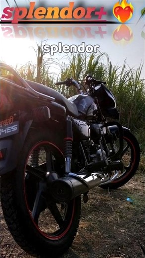 splendor lovers 🥰🥰💐#splender #viral