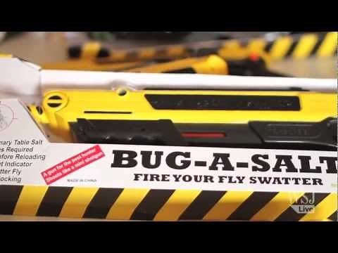 Fly No More: DIY Solution To Pesky Flies