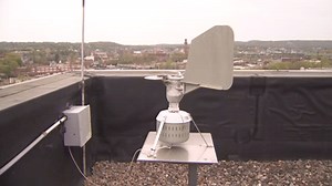 Local Hospital Begins Providing Pollen Count