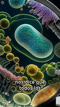 Celulas eucariotas y procariota (primera parte)