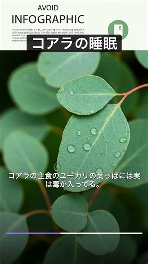 【驚愕】コアラが寝てばかりいる本当の理由 #雑学 #豆知識 #Shorts