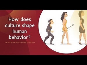 Lesson 2 Human Evolution and Culture - Understanding Culture, Society, and Politics (UCSP)
