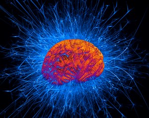 Scientists Think They Know Where Consciousness Lives In Your Brain