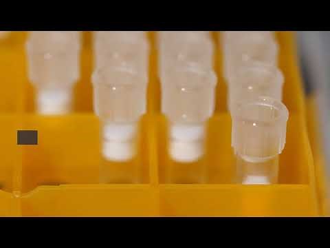 Life Science: Bovine Serum Albumin (BSA) in cell culture