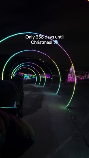 Countdown to Christmas: 358 Days to Go!