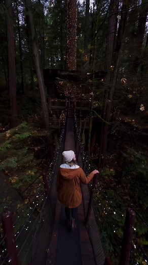 Exploring the Enchanted Treetops of a Canadian Forest