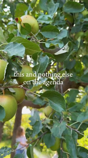 Elsa and the garden on TikTok