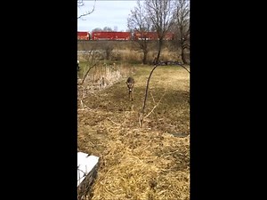 7.2K views · 699 reactions | For those of you who may not have...