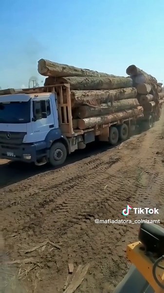 #amazonia #madeira #floresta #rural #tora #brasil #manejo #agro #diesel #truck #world #mato #top #bruto #rustico #sist ematico #offroad #life #caminhao #trator #log #woods