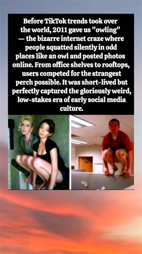 Remember "Owling"? The Bizarre 2011 Internet Trend That Had Everyone Squatting In Random Places 🦉😂🔥