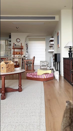 Holiday cheer, minus the sneezes. Dander in the air, lingering odors, post-party chaos. But they don’t need to stay in your home. PetSnowy Air Purifier quietly captures pet hair, dander, and odors with powerful multi-layer filtration—keeping your air fresh, clean, and ready for every holiday cuddle and New Year’s toast. #petsnowy #holidayseason #airpurifier #airpurifierforpets