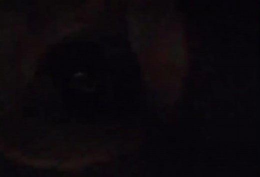 ScaryandUnusual on TikTok