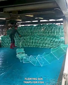 Floating Sea Traps For Fish #BoatLine #TrapFishing | YNP Media