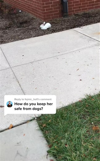 40K views · 1.4K reactions | Simple, It's not rocket science. 樂 | Bunnysdayout | Facebook