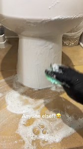 #cleaning #sundaycleaning #clean #bathroom #joke #bathroomreset #dawn | The Cleaning Lady